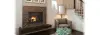 Regency B41XTCE Gas Fireplace