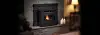 Regency GCI60 Pellet Insert