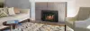 Regency LRI4E Gas Insert