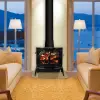 Vermont Castings Defiant Wood Stove