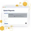Quick Reports
