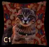 Gray Tabby