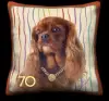 Charles Spaniel