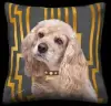 Cocker Spaniel