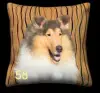 Collie