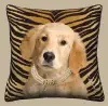 Golden Retriever - Tan