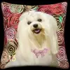 Maltese