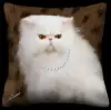 Persian