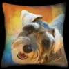 Schnauzer - Rainbow
