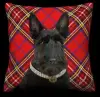 Scottish Terrier - Red