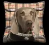 Weimaraner