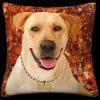 Yellow Lab - Brown