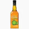 Evan Williams Apple 750ml