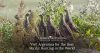 Visit Argentina for the Best Perdiz Hunting in the World