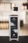 Hollerhorn Ginship Colab.