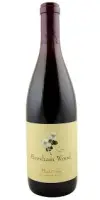 Evesham Wood Pinot Noir 22