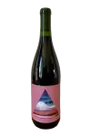 Outward Syrah