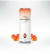 Sandbagger Cloudberry Seltzer