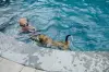 A child in goggles and a brown dog swim together in a blue-tiled pool near the edge.