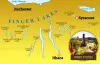 Finger Lakes Limo & Bus Wine Tours