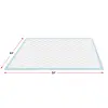FP Wee-Wee Pads SA 22pk