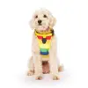 Everything Harness Rainbow Md