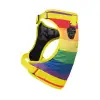 Everything Harness Rainbow Lg