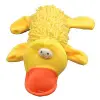 Bottle Toy Duck