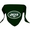 NFL Jets Pet Bandana Lg