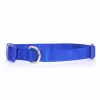 Zack and Zoey Collar 6-10 Blue