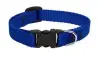 Lupine 6-9 1/2 Adj Blue