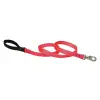 Lupine 1 6' Red Lead