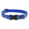 Lupine 13-22 DapperDog