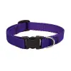 Lupine 8-12 1/2 Adj Purple