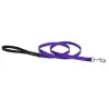 Lupine 4ft 1/2 Purple