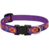 Lupine 10-16 Spring Fling