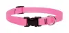 Lupine 13-22 3/4 Pink