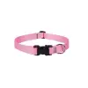 Lupine 1 12-20 Pink Collar