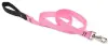 Lupine 1 4' Pink Lead