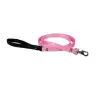 Lupine 1 6' Pink Lead