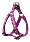 Lupine 20-30StepIn RoseGarden