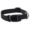 Zack and Zoey Collar 14-20 Blk