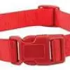 Zack and Zoey Collar 14-20 Red