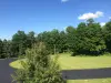 A new driveway on a residential property with green grass and trees.
