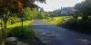 New sealing on a driveway.
