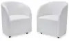 Rowanbeck - Dining Upholstered Arm Chair (Set of 2) - Ivory