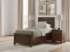 Danabrin - Twin/Full Bed Rails - Brown