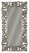 Lucia - Floor Mirror - Antique Silver Finish
