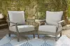 Visola - Lounge Chair w/Cushion (Set of 2) - Gray