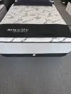 Hampshire Plush Twin Mattress
